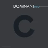 Thomastik DOMINANT PRO Cello C String