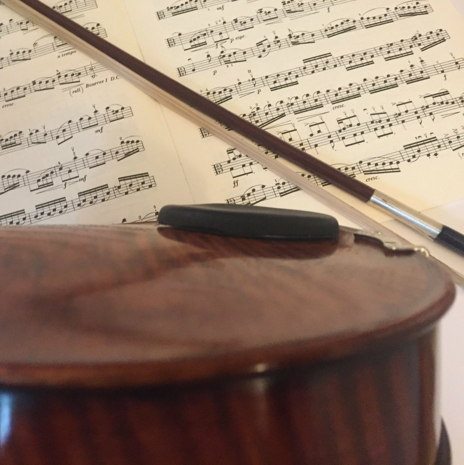 Violin Shoulder Rests The Micro Gelrest Shoulder Pad 5 Violin Shoulder Rests The Micro Gelrest Shoulder Pad