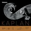 D'Addario Kaplan Solo Bass Set, D-Extension