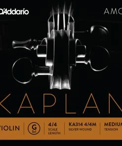 D'Addario Kaplan Amo Violin G