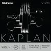 D'Addario Kaplan Vivo Violin Set
