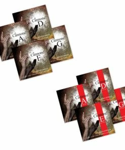 Larsen Il Cannone Violin Set