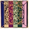 Pirastro Passione D Gut Violin String Violin Strings