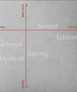 Pirastro Cello Strings Perpetual Cello C String-Multiple Options