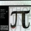 Thomastik Peter Infeld Violin E String Gold Violin Strings