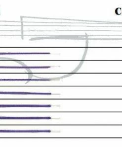 Thomastik Peter Infeld Violin Set PI100 Violin Strings