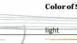 Thomastik Gold E Violin Strings