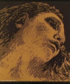 Pirastro Violin Strings Evah Pirazzi Gold Violin G String, Silver