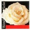 Pirastro Wondertone Solo A String Aluminum